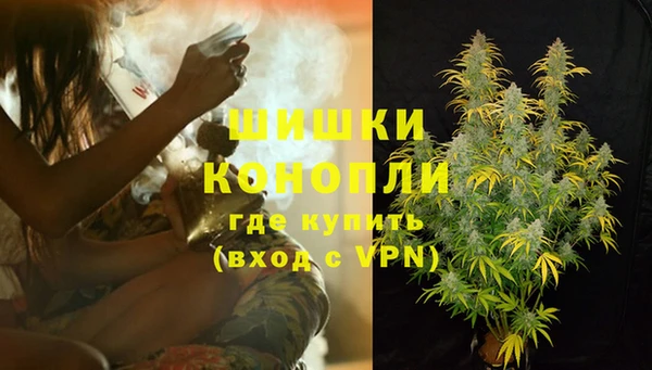 шишки Беломорск