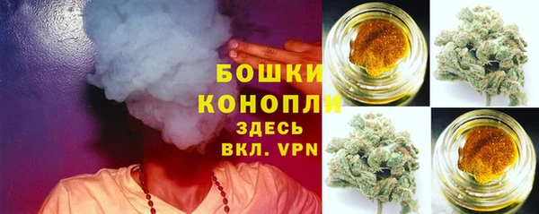 шишки Беломорск